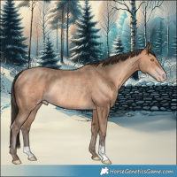 Horse Color:Sable Champagne Rabicano