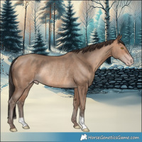 Horse Color:Sable Champagne Rabicano 
