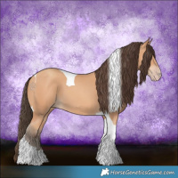 Horse Color:Amber Champagne Tobiano