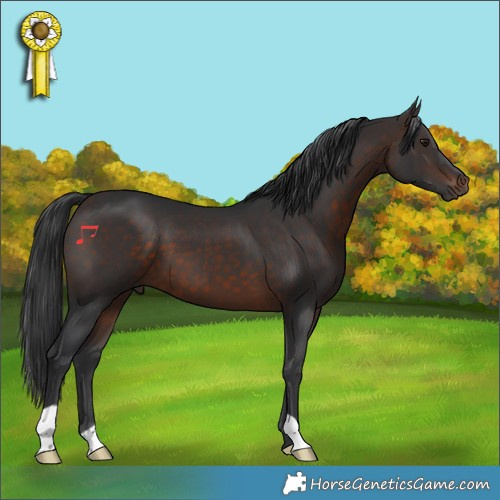 Horse Color:Brown 