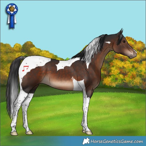 Horse Color:Brown Tobiano 