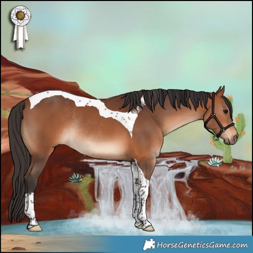 Horse Color:Bay Tobiano Rabicano 