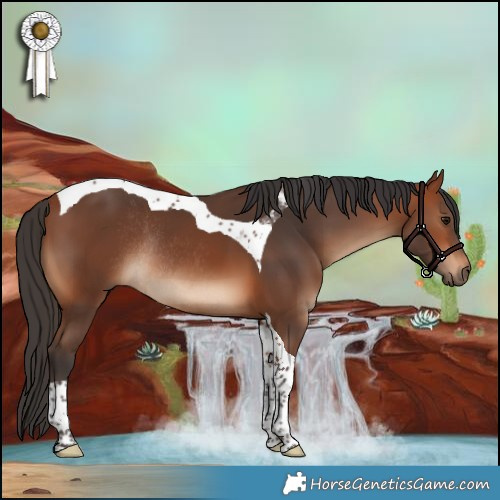 Horse Color:Bay Tobiano Rabicano 