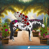 Horse Color:Black Sabino Frame Rabicano 