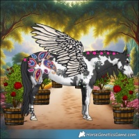 Horse Color:Black Sabino Frame Rabicano 