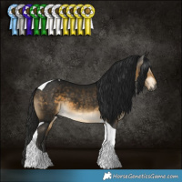 Horse Color:Gray Buckskin Tobiano 