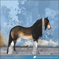Horse Color:Gray Buckskin Tobiano