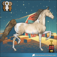 Horse Color:Buckskin Pearl Tobiano 