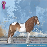 Horse Color:Gray Liver Red Dun Tobiano 