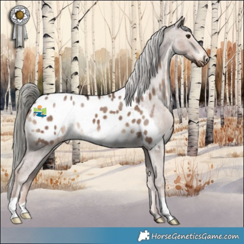 Horse Color:Liver Red Dun Mushroom Appaloosa 
