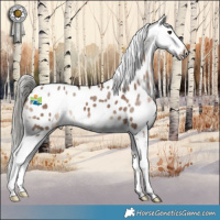 Horse Color:Liver Red Dun Mushroom Blanket 