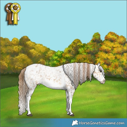 Horse Color:Buckskin Dun Sabino Tobiano Frame Appaloosa 