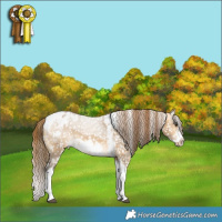 Horse Color:Buckskin Dun Sabino Tobiano Frame Appaloosa 