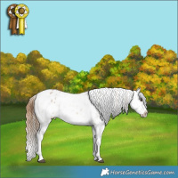 Horse Color:Buckskin Dun Sabino Tobiano Frame Appaloosa
