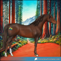 Horse Color:Liver Chestnut 