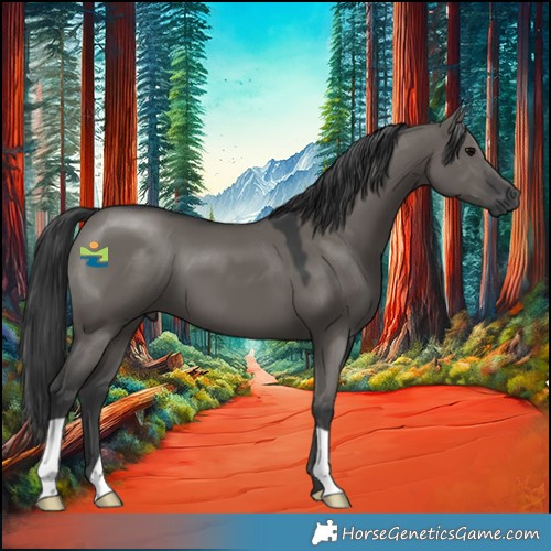 Horse Color:Grullo 