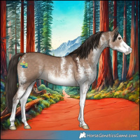 Horse Color:White Spotted Liver Red Dun 