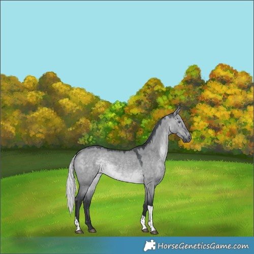 Horse Color:Silver Brown Chinchilla Dun Tobiano 