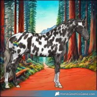 Horse Color:Liver Chestnut Near Leopard 