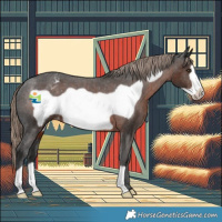 Horse Color:Liver Chestnut Frame Appaloosa