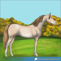 Horse Color:Smoky Black Pearl Rabicano
