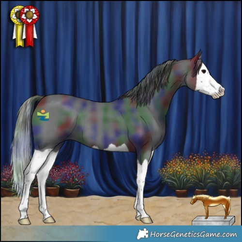 Horse Color:Nacre Black Splash 