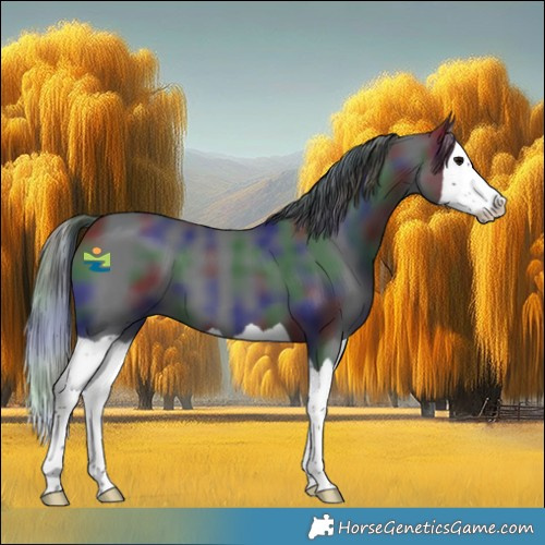 Horse Color:Nacre Black Splash 