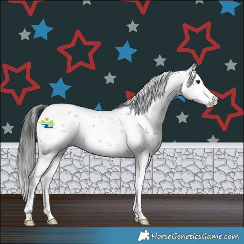 Horse Color:Smoky Black Sabino 