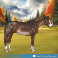 Horse Color:Liver Chestnut 