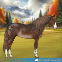 Horse Color:Liver Chestnut 
