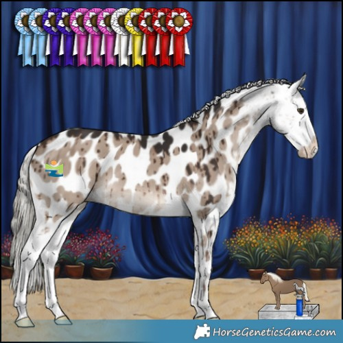 Horse Color:Liver Red Dun Mushroom Appaloosa Brindle 