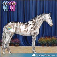 Horse Color:Liver Red Dun Mushroom Appaloosa Brindle 