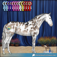 Horse Color:Liver Red Dun Mushroom Appaloosa Brindle 
