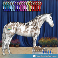 Horse Color:Liver Red Dun Mushroom Appaloosa Brindle 