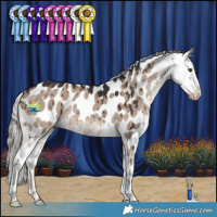 Horse Color:Liver Red Dun Mushroom Appaloosa Brindle