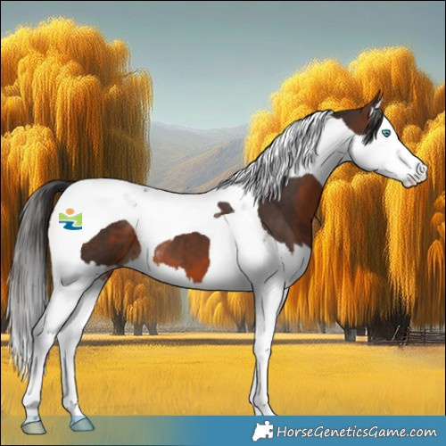 Horse Color:Brown Splash Tobiano 