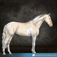 Horse Color:Silver Amber Champagne Dun Tobiano 
