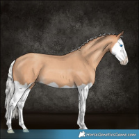 Horse Color:Silver Amber Champagne Splash 
