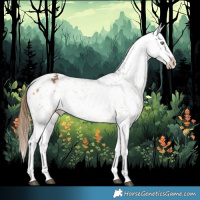 Horse Color:Buckskin Dun Sabino Appaloosa and Buckskin Sabino Appaloosa