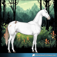 Horse Color:Buckskin Dun Sabino Blanket  and Buckskin Sabino Snowflake Varnish 