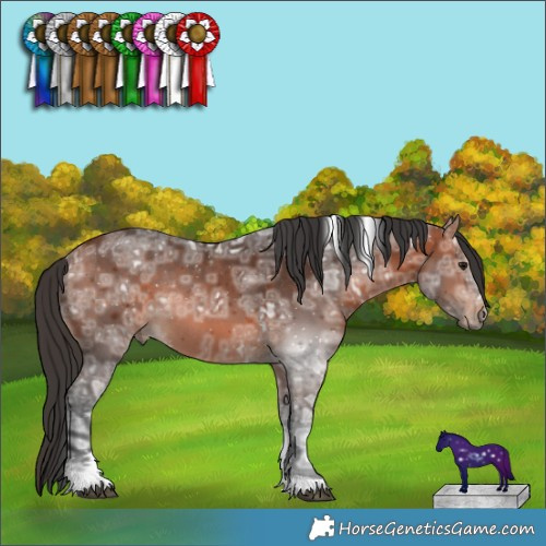 Horse Color:Bay Ice Tobiano Rabicano 