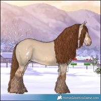 Horse Color:White Spotted Red Dun 