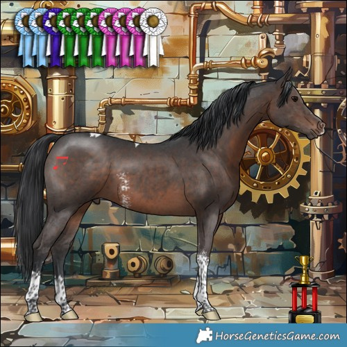 Horse Color:Brown Sabino Tobiano 