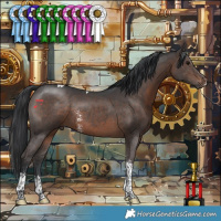 Horse Color:Brown Sabino Tobiano 