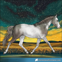 Horse Color:Platinum White Spotted Liver Red Dun Rabicano