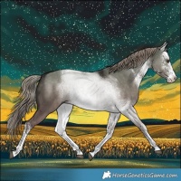 Horse Color:Platinum White Spotted Liver Red Dun Rabicano 