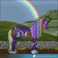 Horse Color:Painted Silver Buckskin Sabino Splash Tobiano  and Watercolor White Spotted Silver Brown Ice 