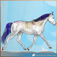 Horse Color:Painted Plaid  White Spotted Liver Red Dun Ice Onyx Splash Brindle 
