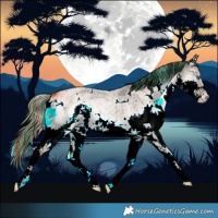 Horse Color:Painted White Spotted Liver Red Dun Roan Onyx Splash Brindle 