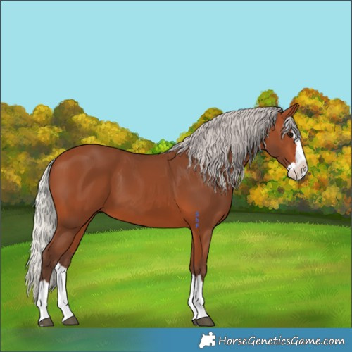 Horse Color:Silver Bay Splash 